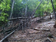 38 Abbiamo trovato molti alberi caduti sul sentiero